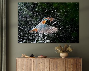 Kingfisher with catch by Larissa Rand