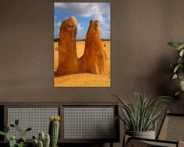 Kalkstenen zuilen in Nambung National Park, West-Australië van Ines Porada