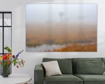 Young tree in foggy lake by Johan Vanbockryck