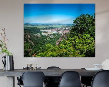 Blick auf die Stadt Thale im Harz von Animaflora PicsStock