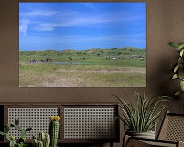 Chevaux Konik dans les dunes de Kennemer