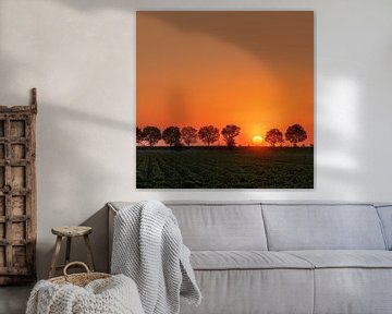 Sunset on Tholen, the Netherlands by Adelheid Smitt