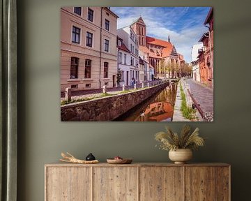 Oude stad met rivier in Wismar aan de Noordzee van Animaflora PicsStock