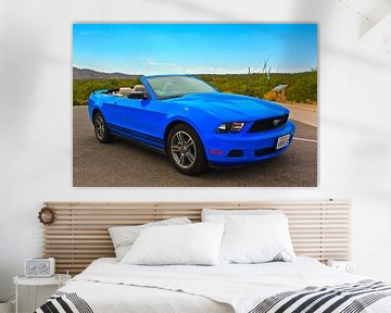 Ford Mustang sur Menno Heijboer