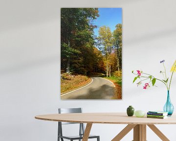 Route à travers une forêt aux couleurs automnales variées sur Sjoerd van der Wal Photographie