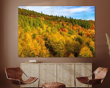 Bos met heuvels met verschillende herfstkleuren van Sjoerd van der Wal Fotografie