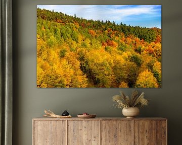 Collines forestières avec diverses couleurs d'automne sur Sjoerd van der Wal