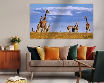 Giraffenherde im Etosha Nationalpark in Namibia