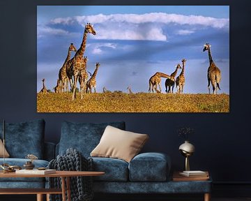 Kudde giraffen in Etosha Nationaal Park in Namibië van W. Woyke