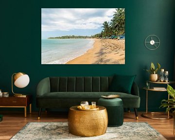 The beautiful sandy beach of Arugam Bay in Sri Lanka, South Asia by Art Shop West