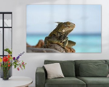 Eine schöne Nahaufnahme von Leguan mit dem karibischen Meer im Hintergrund von Art Shop West