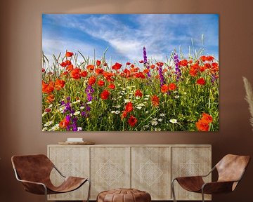 Champ de fleurs d'été