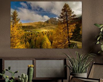 Goudgele lariksen brengen herfstkleuren in de bergen boven Meran.