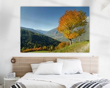 Einsamer Herbstbaum in den Südtiroler Alpen