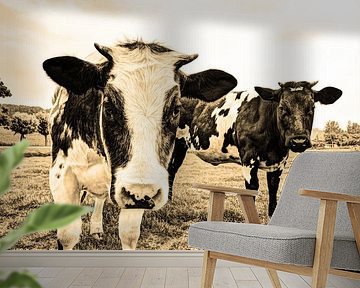 Koeien in Weiland Sepia