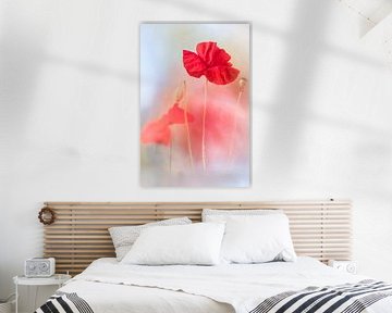 Lovely Poppy by Bob Daalder