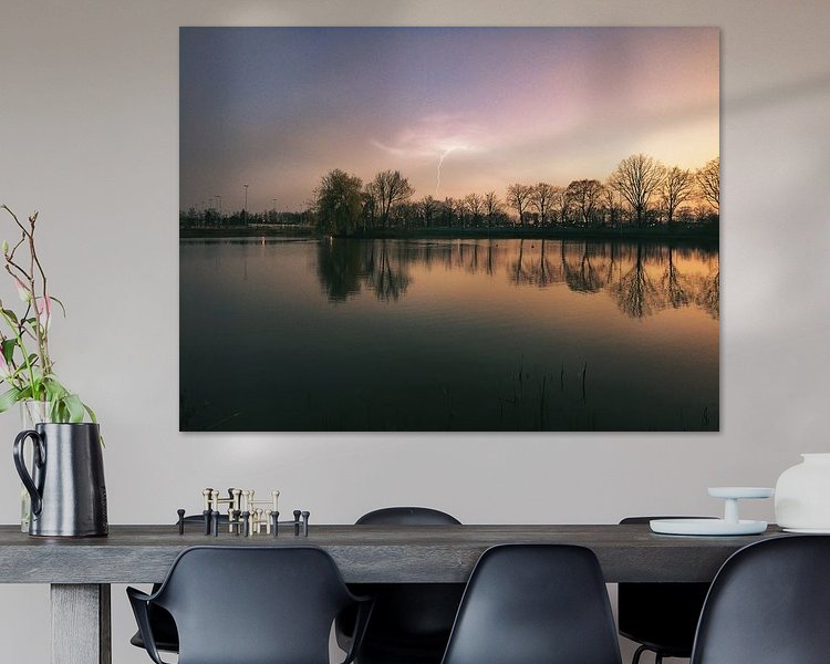 Aperçu de la chambre