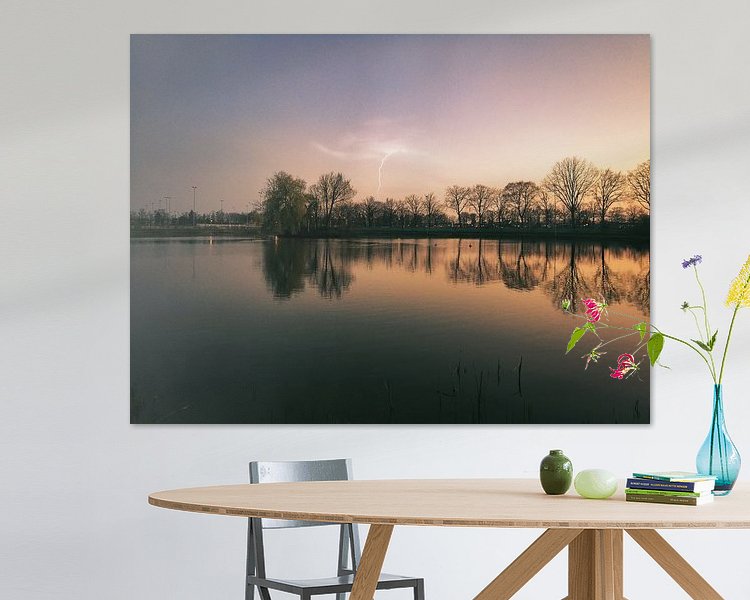 Aperçu de la chambre