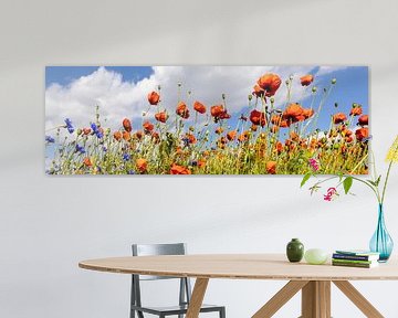 Klaprozenveld met korenbloemen | Panorama van Melanie Viola