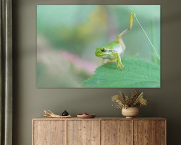 Yoga-frog by Larissa Rand