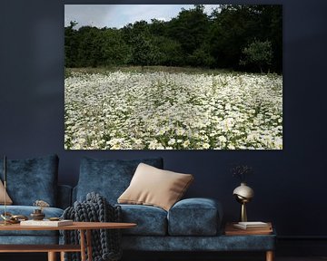 Bloemen