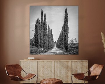 Italië in vierkant zwart wit, 'Cipressen in Toscane'