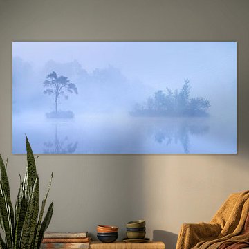 Panorama Dutch Forests and Ponds - Oisterwijk