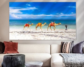 Tropisch wit strand met azuurblauwe zee en blauwe lucht en kamelen van Steven World Traveller