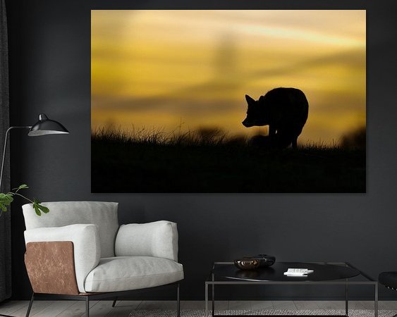 Voorbeeld van het werk in een kamer