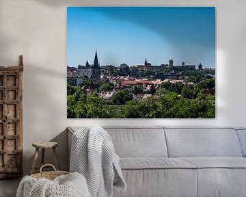 Panoramisch uitzicht over de stad Bernburg van Animaflora PicsStock