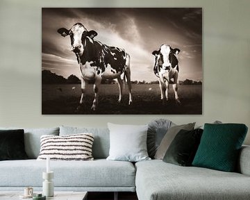 Hollandse koeien in sepia van Heleen van de Ven