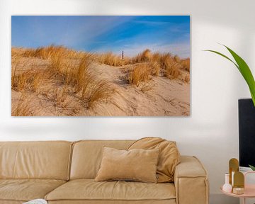 Dunes on Ameland by Friedhelm Peters