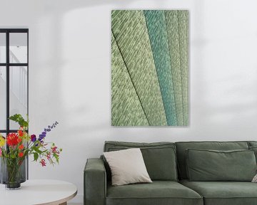 Bamboo on a line