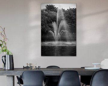 fontaine dans un paysage en noir et blanc sur Etienne Rijsdijk