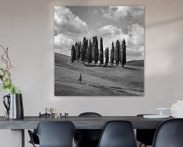 Italië in vierkant zwart wit, 'De Cipressen van Toscane'