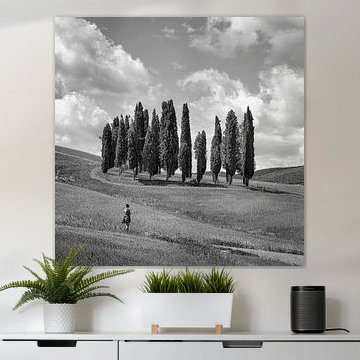 Italien in quadratischem Schwarz-Weiß, 'Die Zypressen der Toskana'. von Teun Ruijters