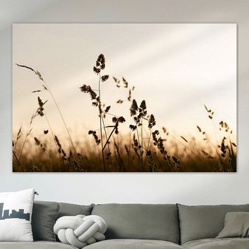 Tijdens het gouden uurtje