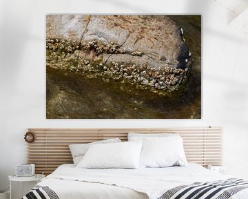 Natuurlijk strand met stenen en kleine schelpen Bornholm van arte factum berlin