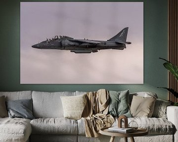 Ich liebe es laut! Der Klang der Freiheit. Ein McDonnell Douglas TAV-8B Harrier II bei der Landung a von Jaap van den Berg