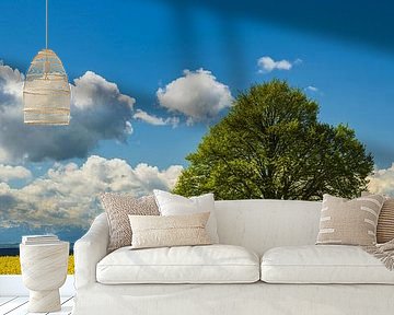 Linden tree on the Hödinger Berg by Walter G. Allgöwer