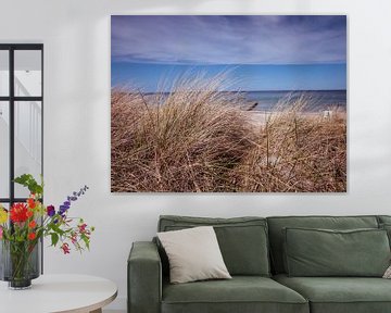 Dünen am Strand an der Ostsee in Deutschland