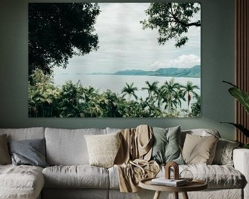 Jungle in Cairns by Reis Genie