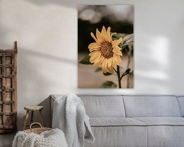 Sonnenblumen von Tessa Dommerholt