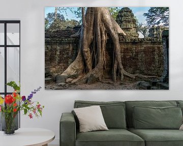 Tempelruine Ta Phrom, Angkor Region, Kambodscha von Peter Schickert