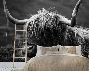 Isle of Skye | Highland cow | Scotland landscape photography | Fine art | Art print Art Print by Sander Spreeuwenberg