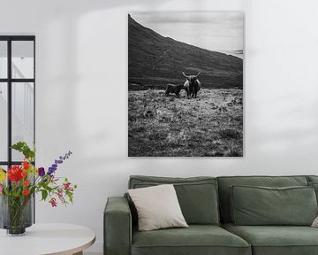 Isle of Skye | Highland rund | Schotland landschap fotografie | Fine art | Art print Art Print van Sander Spreeuwenberg