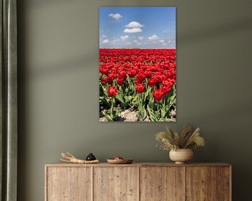 Rode tulpenveld van Dana Schoenmaker