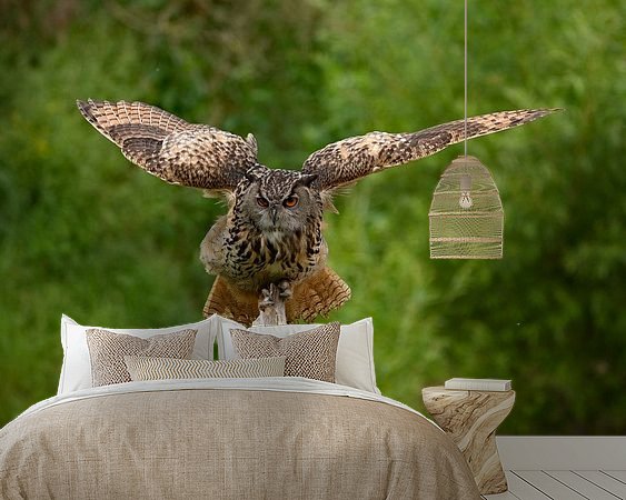 Aperçu de la chambre