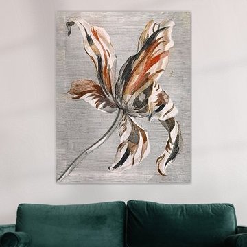 Botanische Tulpe von Affect Fotografie
