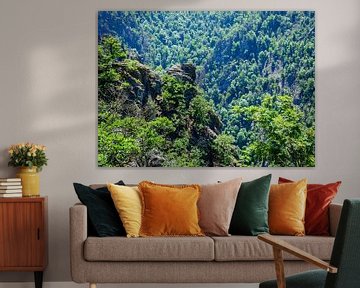 Felsen mit Wald im Nationalpark Harz von Animaflora PicsStock